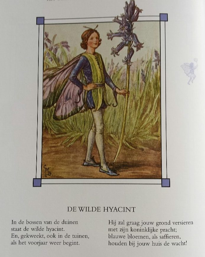 de wilde hyacint