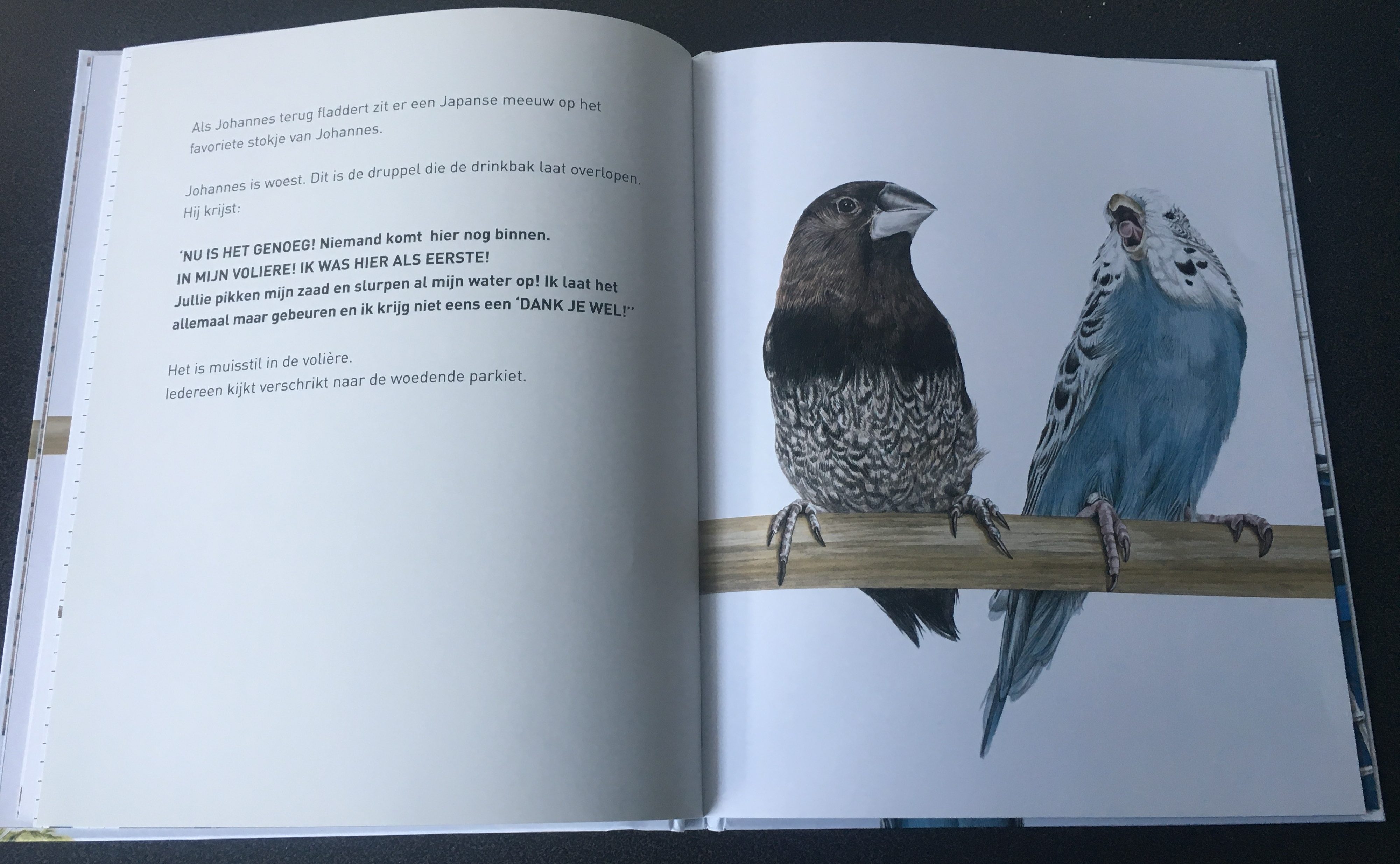boek vogels