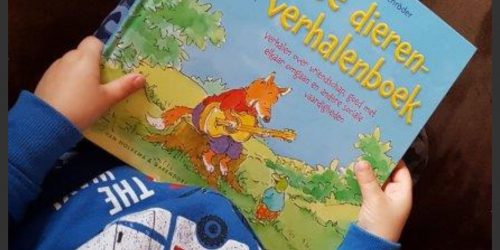 hoofd Het grote dierenverhalenboek