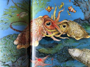 Sepia een prentenboek over zeekatten
