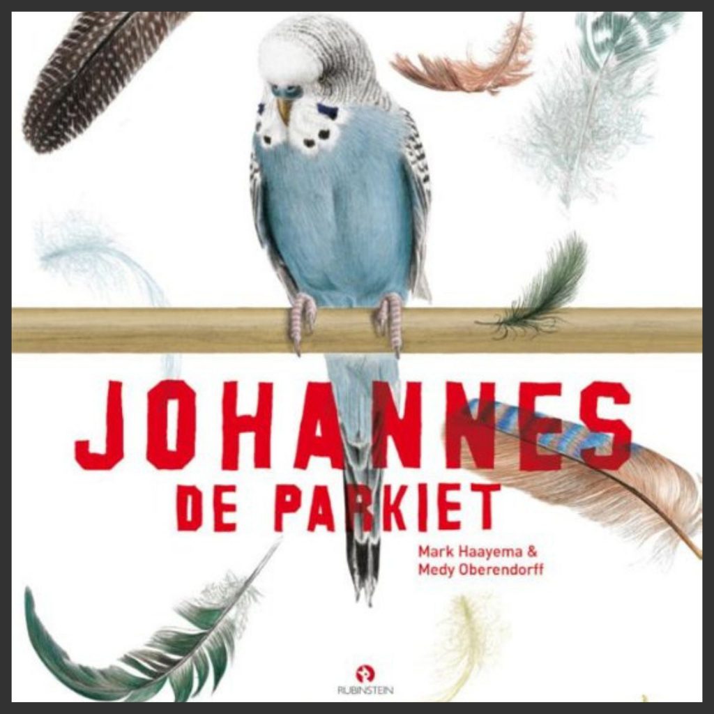 hoofd Johannes de Parkiet