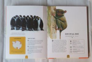 Het fantastisch mooie dierenrijk. Verander het boek in een kunstwerk. Bedreigde dieren, Moira Butterfield Stuart Martin