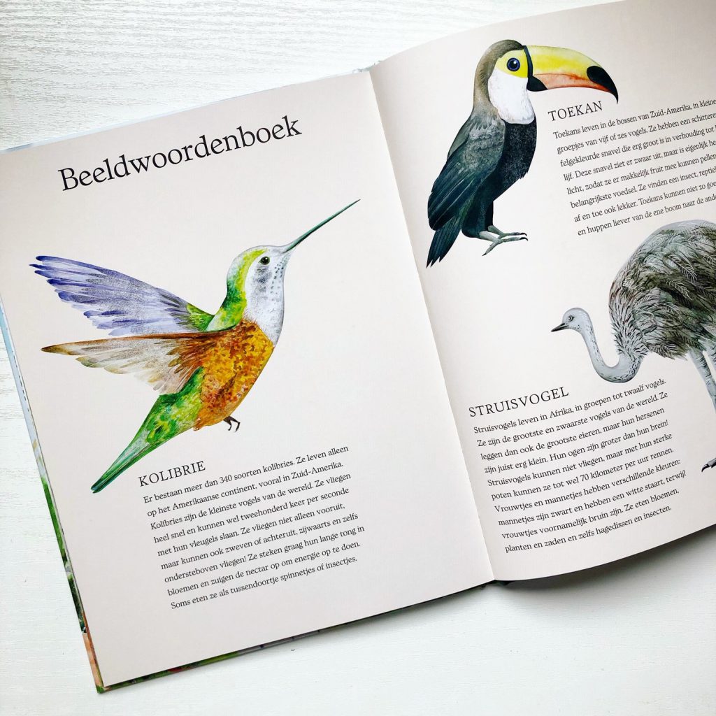 vogels prentenboek dorien brouwers