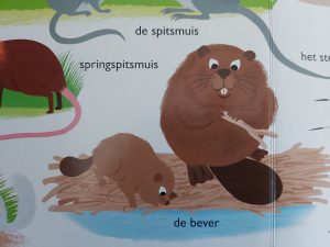 mijn grote reis om de wereld zoogdieren