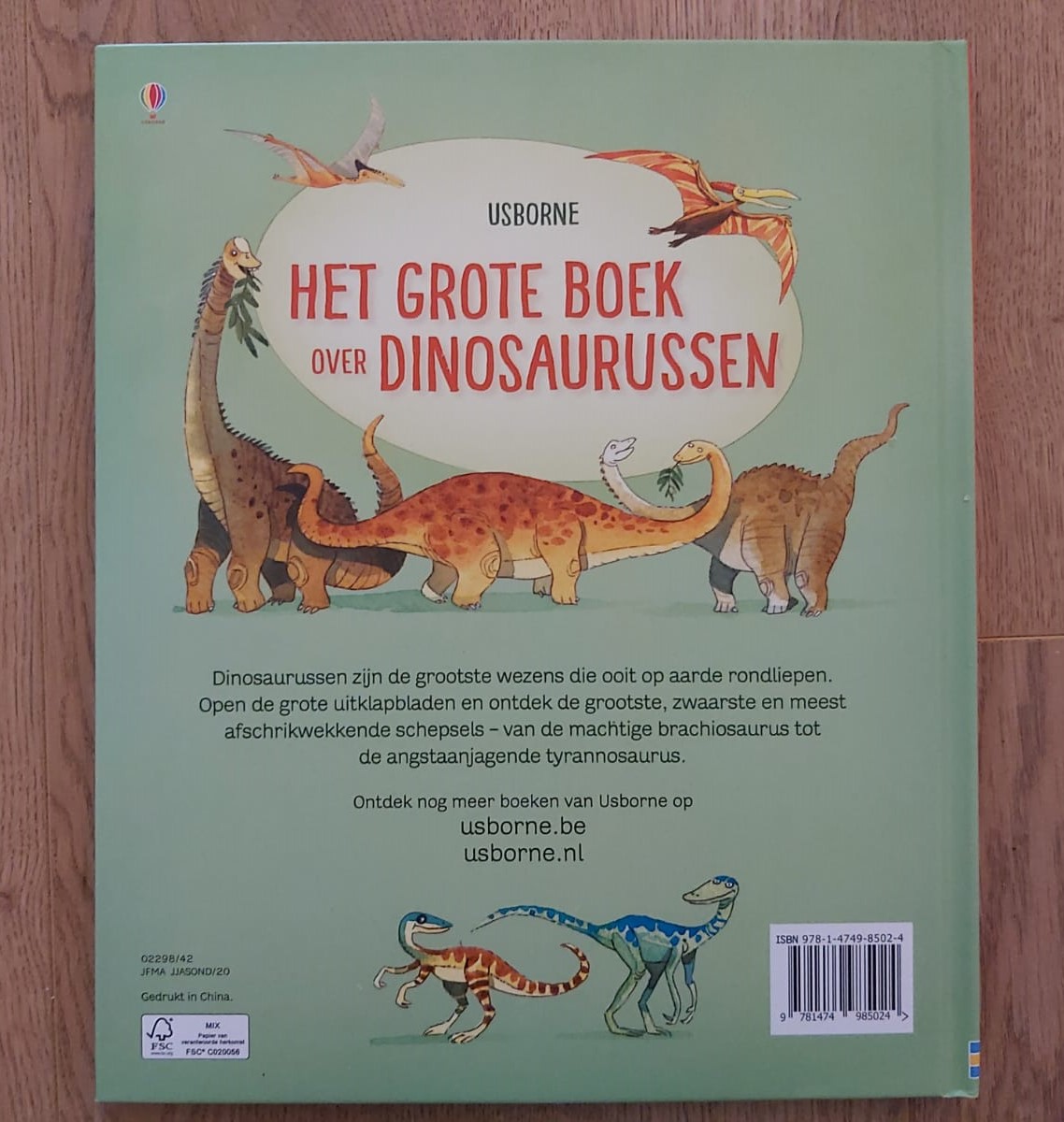 Leerling boiler Plasticiteit Het grote boek over dinosaurussen, een uitklapboek van Usborne