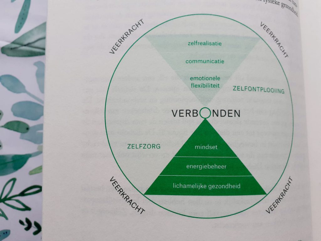 verbonden