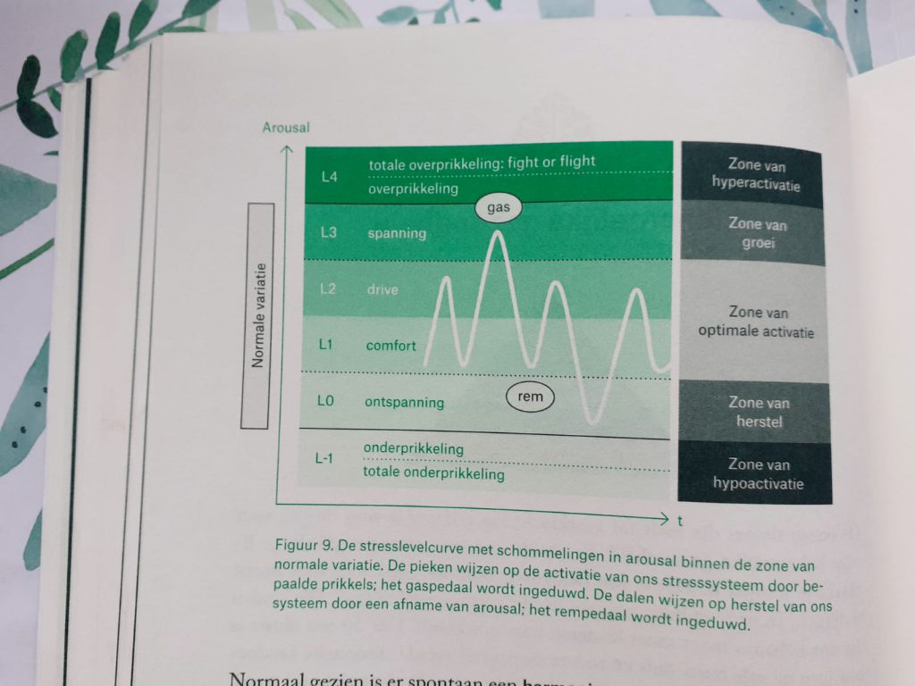 van stress naar veerkracht