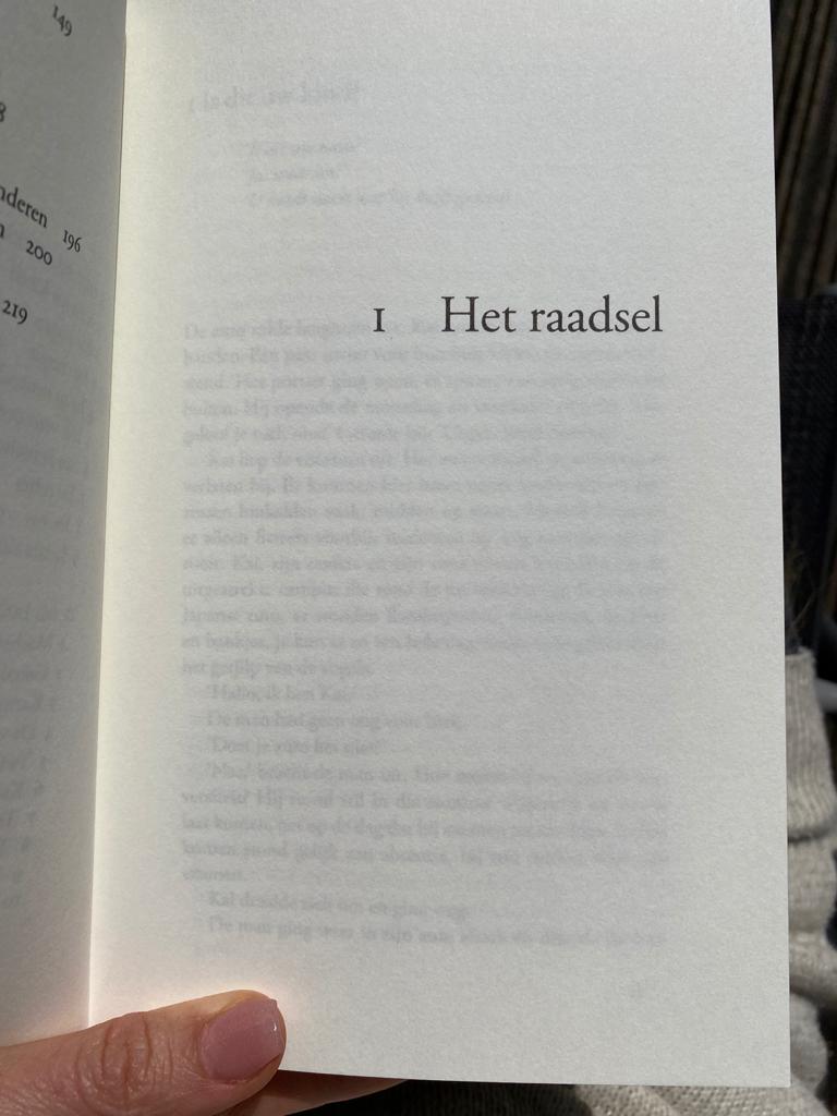 het raadsel