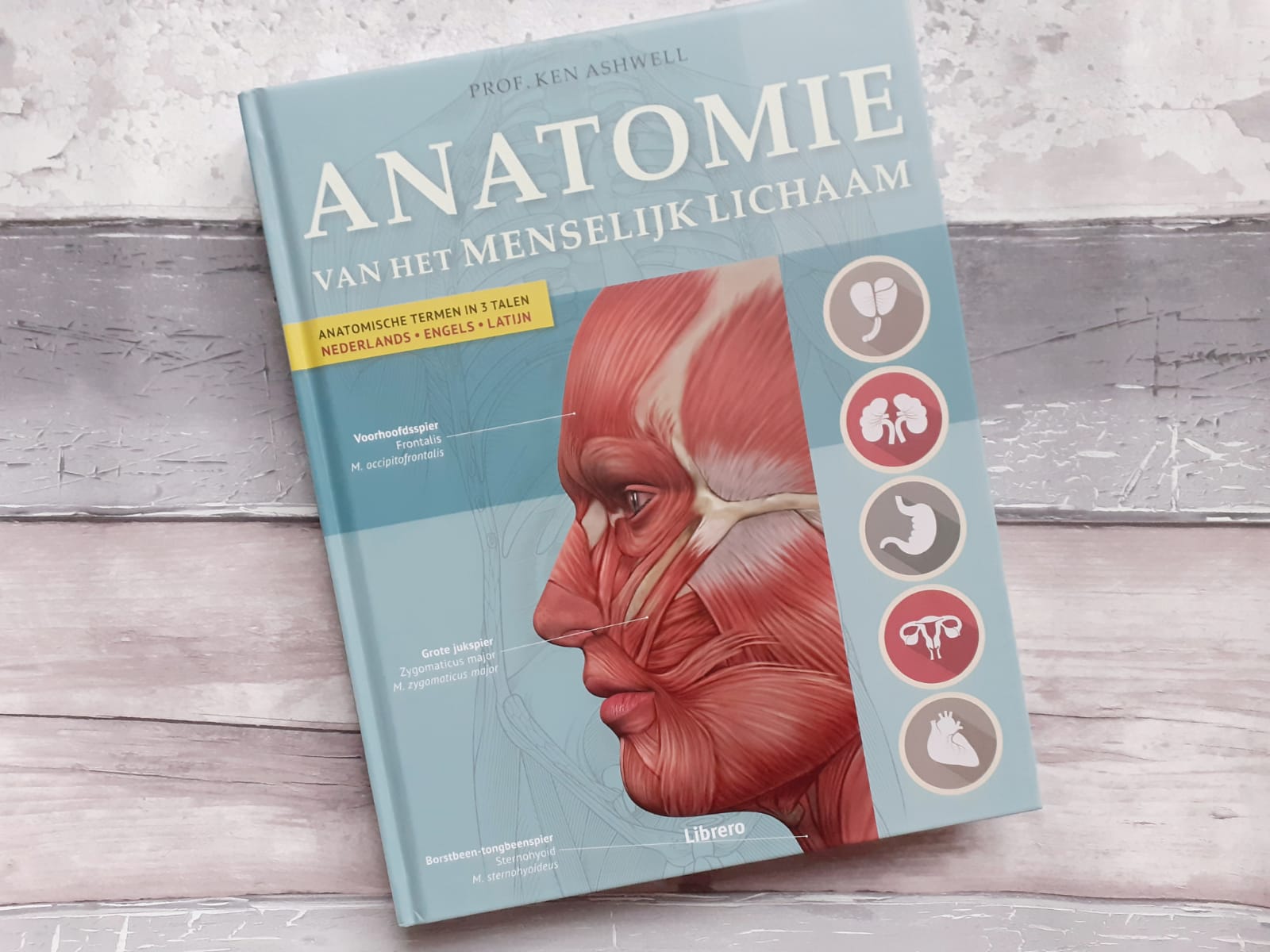 Anatomie van het menselijk lichaam - een compleet naslagwerk