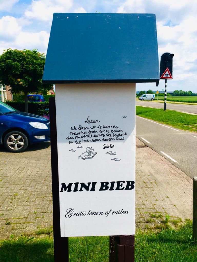 Boekenkasten en minibiebs