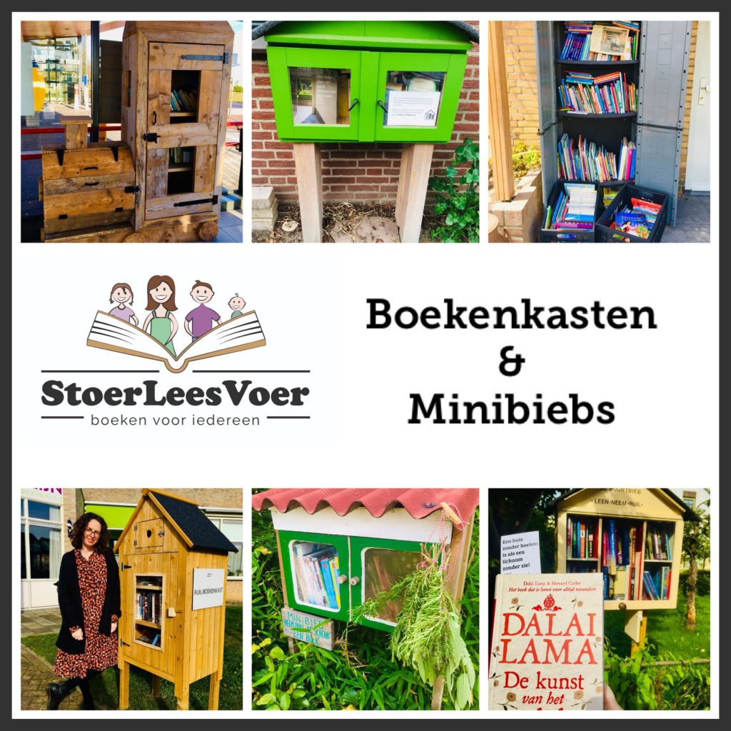 hoofd Boekenkasten en minibiebs