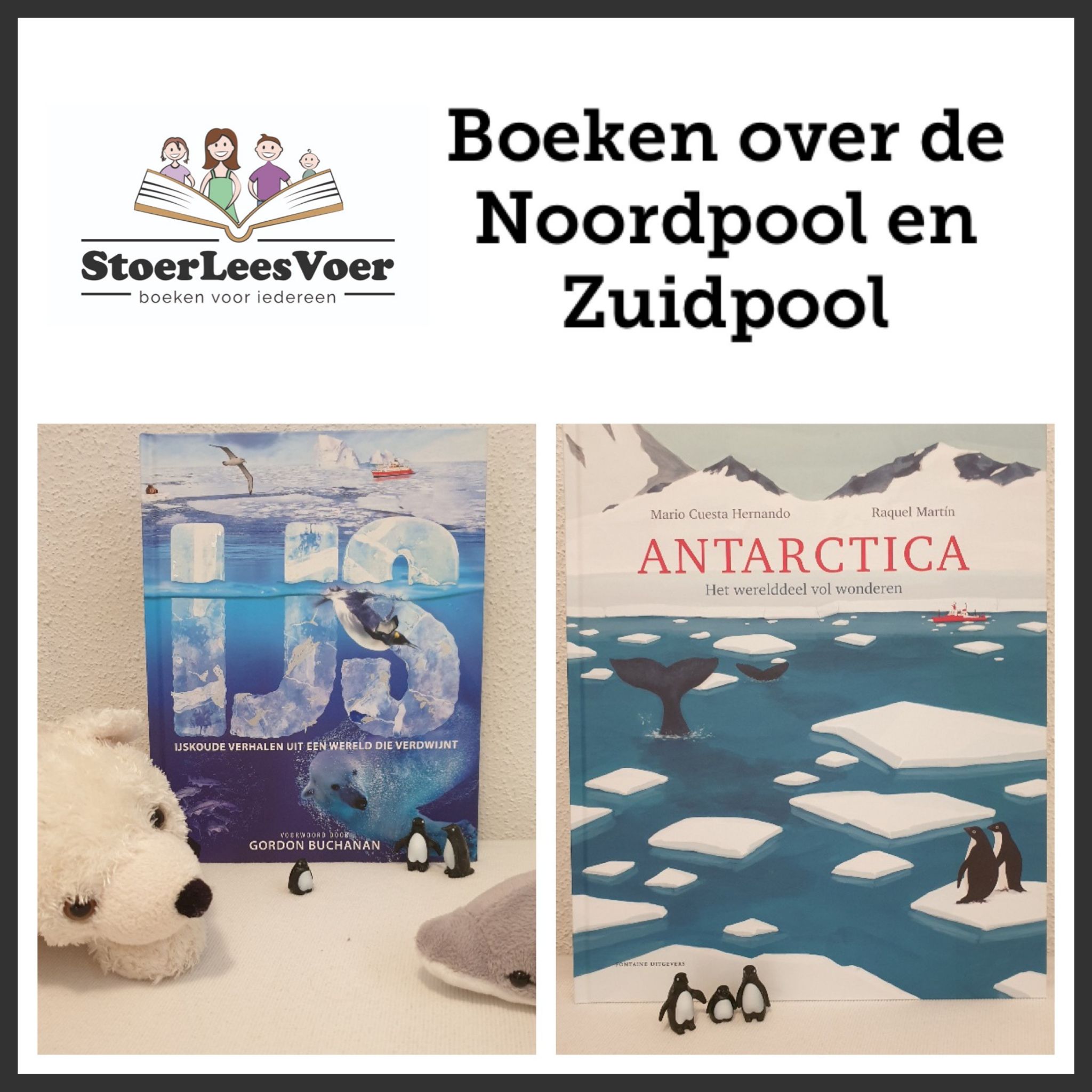 hoofd Boeken over de Zuidpool en de Noordpool