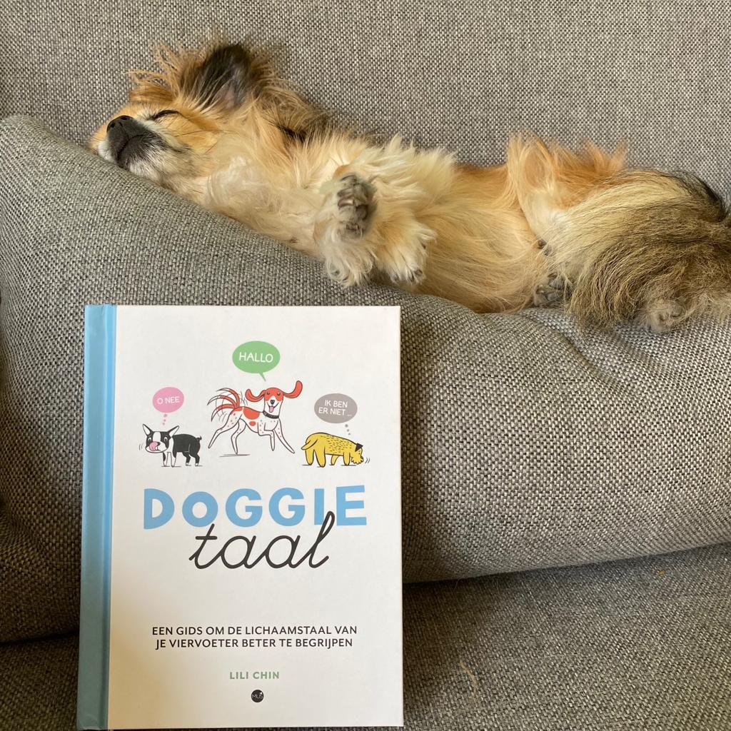 Doggietaal