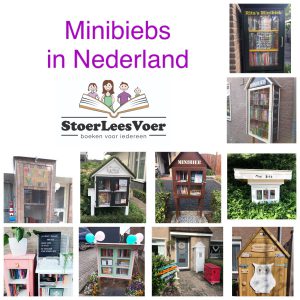 minibiebs in nederland hoofd