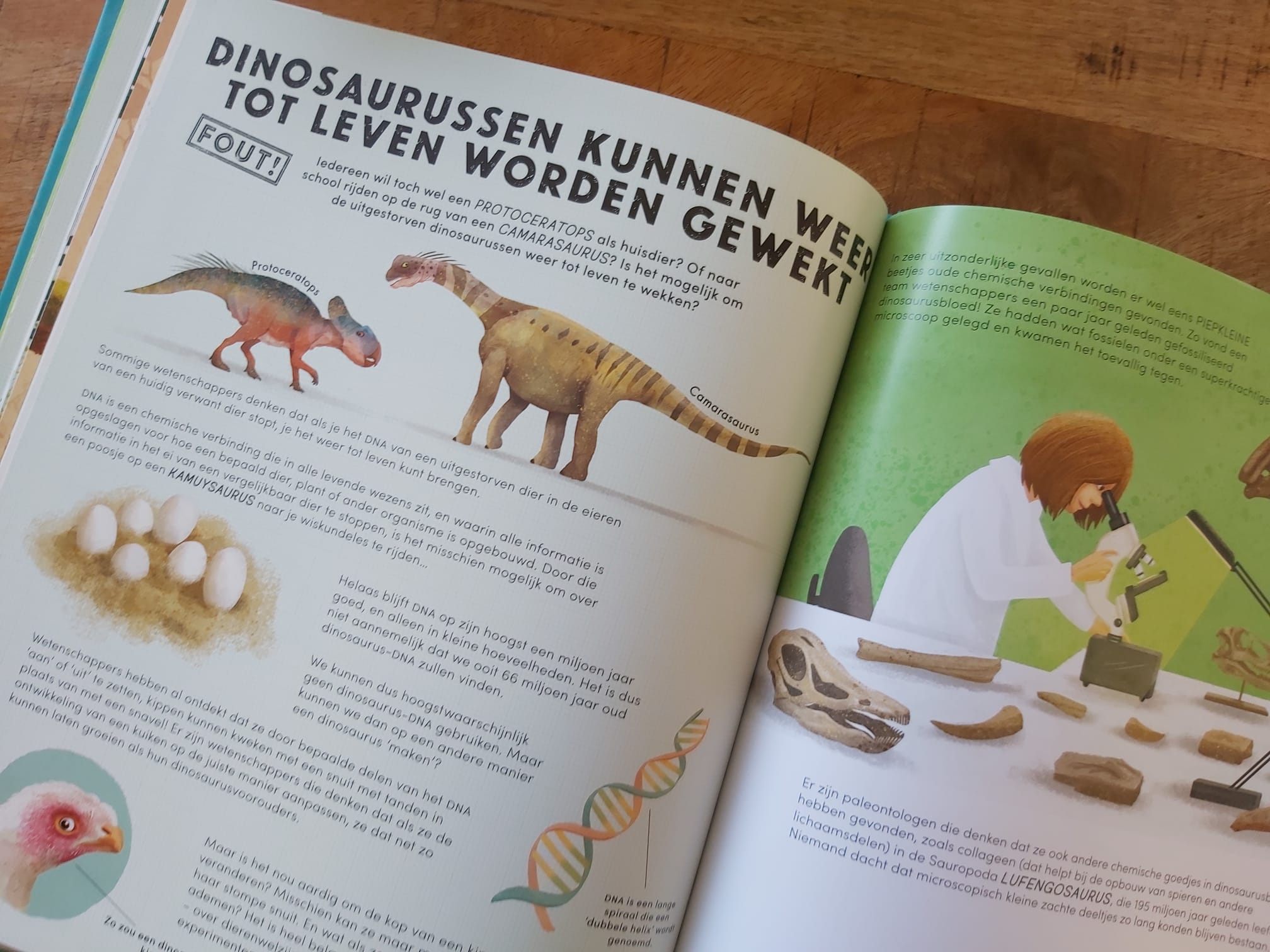 Modernisering Portaal Hollywood Alles wat je weet over dinosaurussen is fout! Een nieuw inzicht -