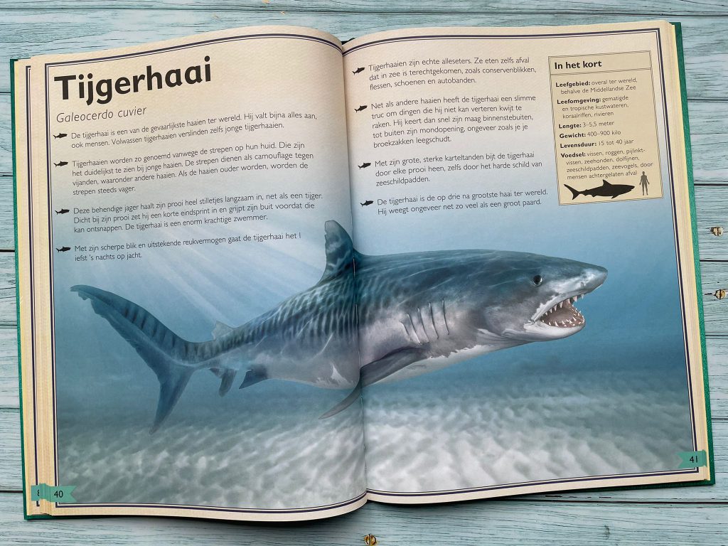 het allermooiste boek over haaien