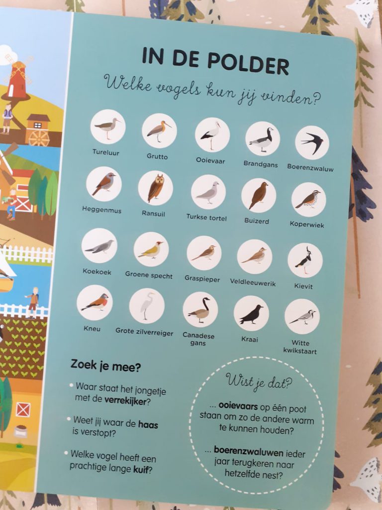 Het grote vogelzoekboek