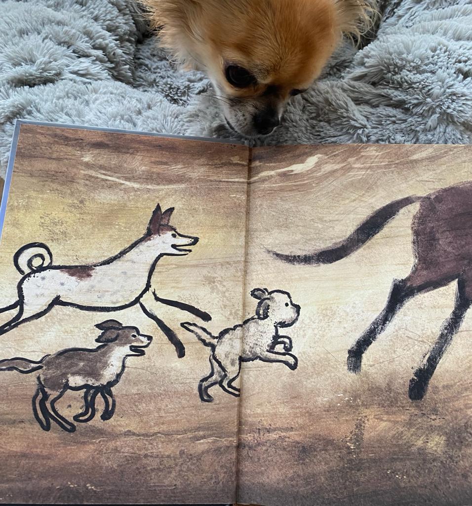 Honden voor het leven