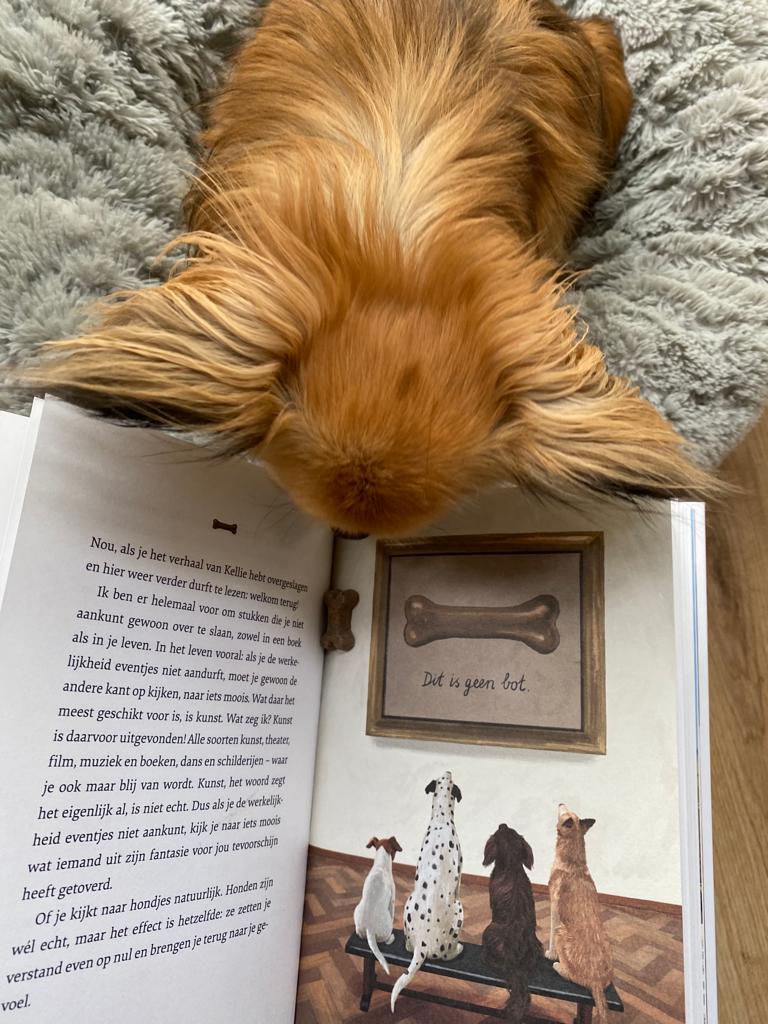 Honden voor het leven