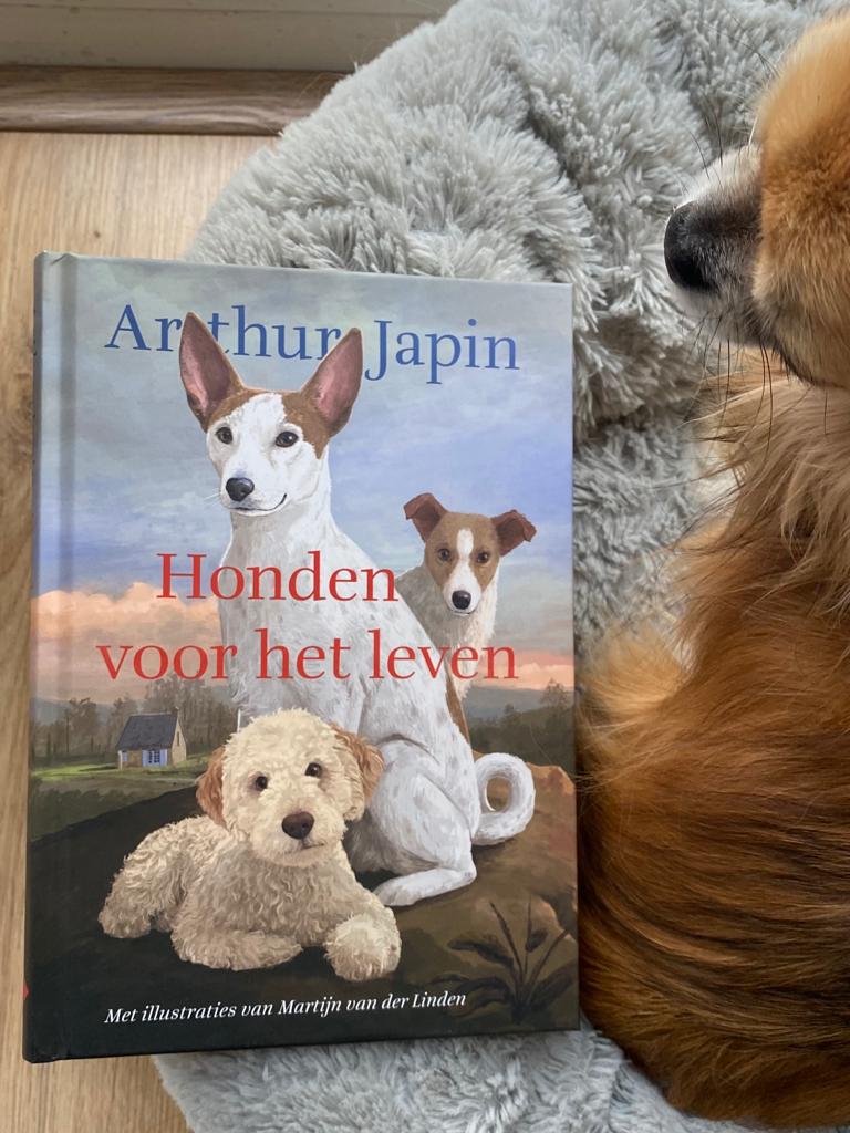Honden voor het leven