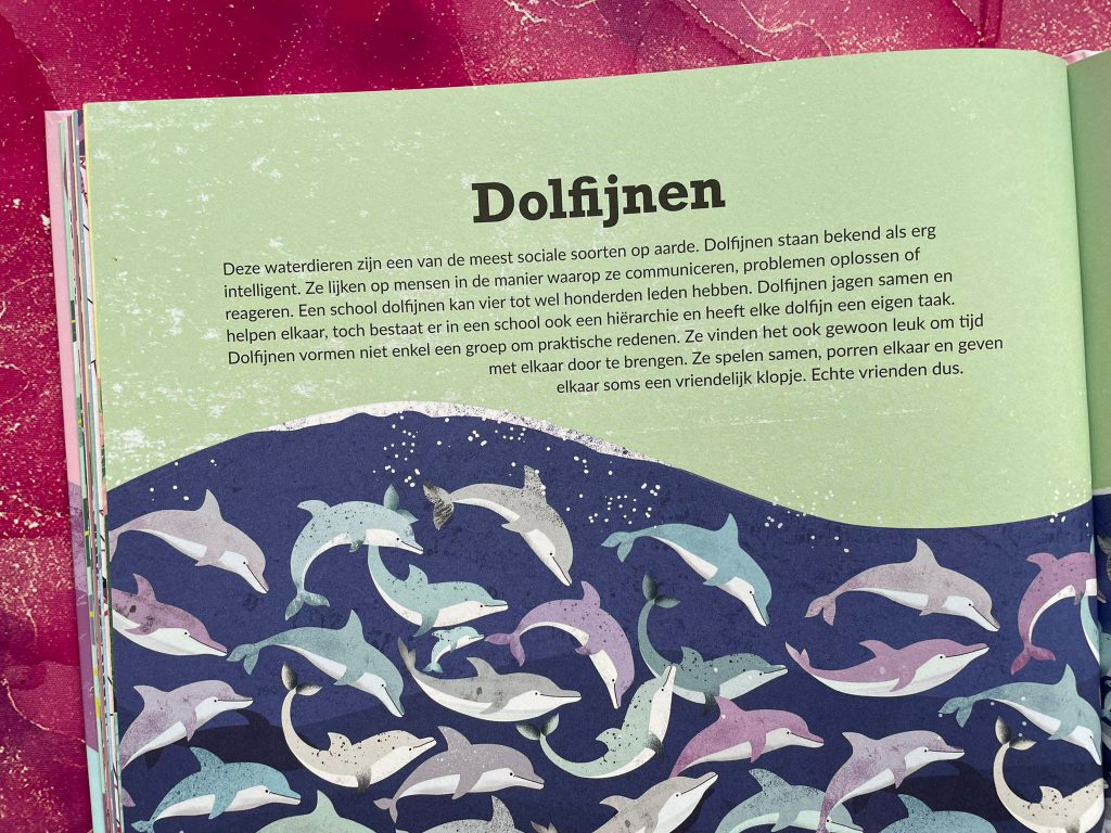 dolfijnen