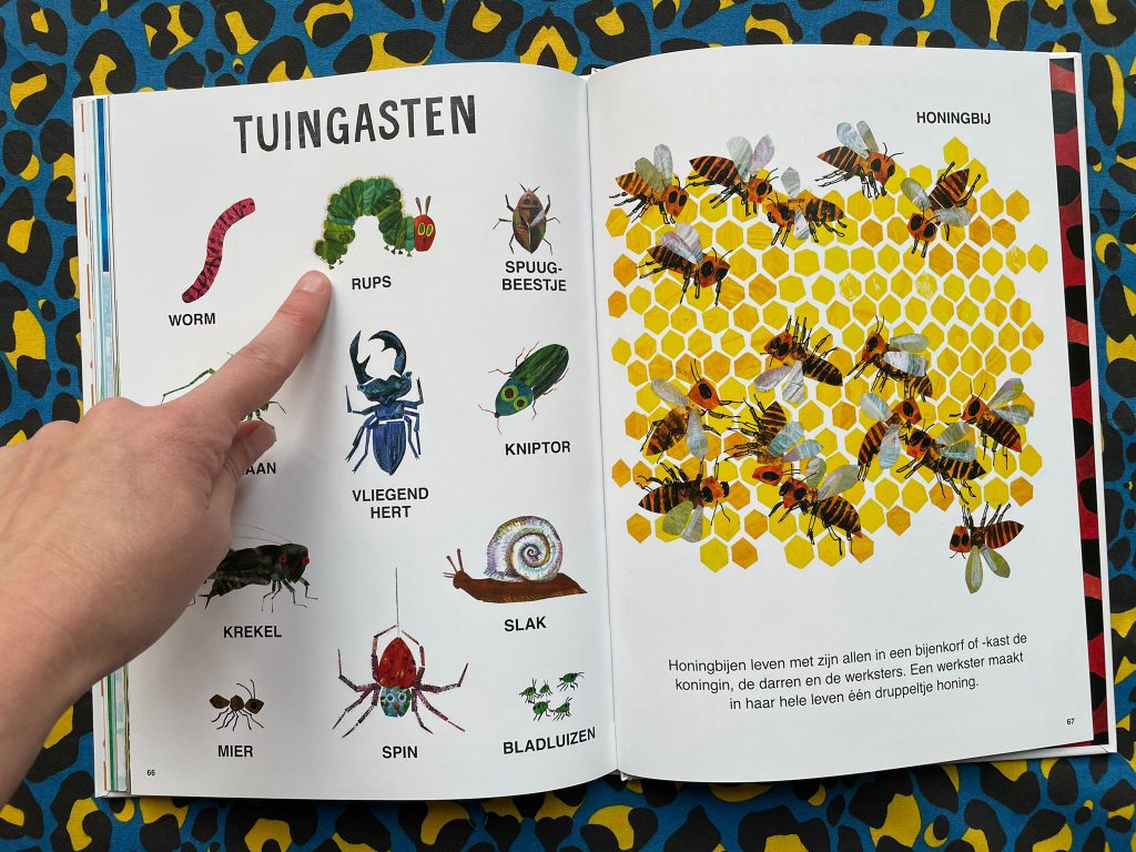 eric carle's grote dierenboek