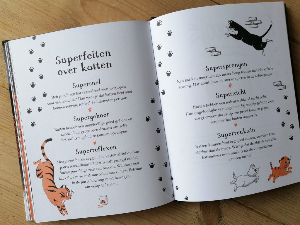 Kitty en de grote lichtjesparade