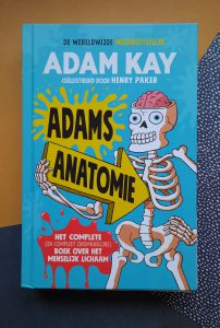 Adams Anatomie