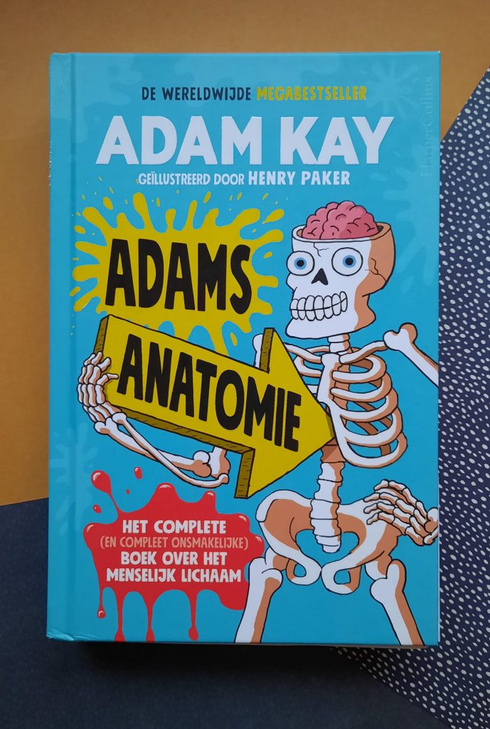 Adams Anatomie