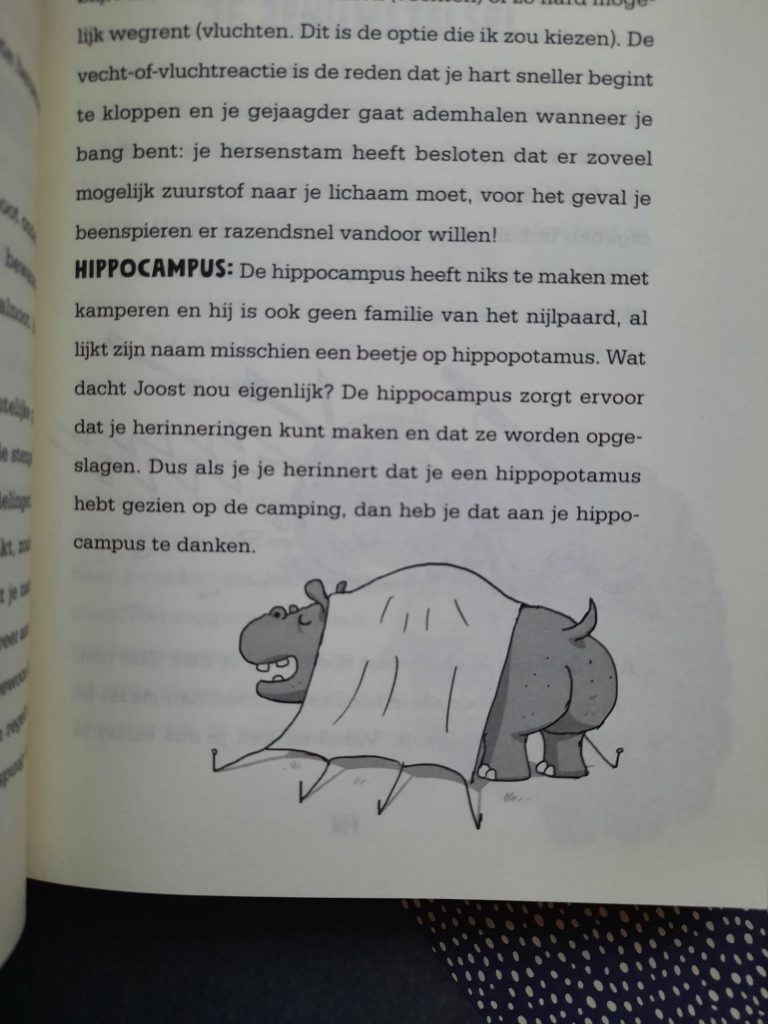 jeugdboek over menselijk lichaam