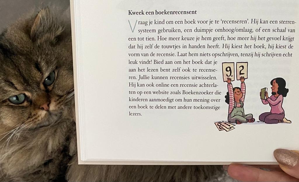 Zo maak je een lezer