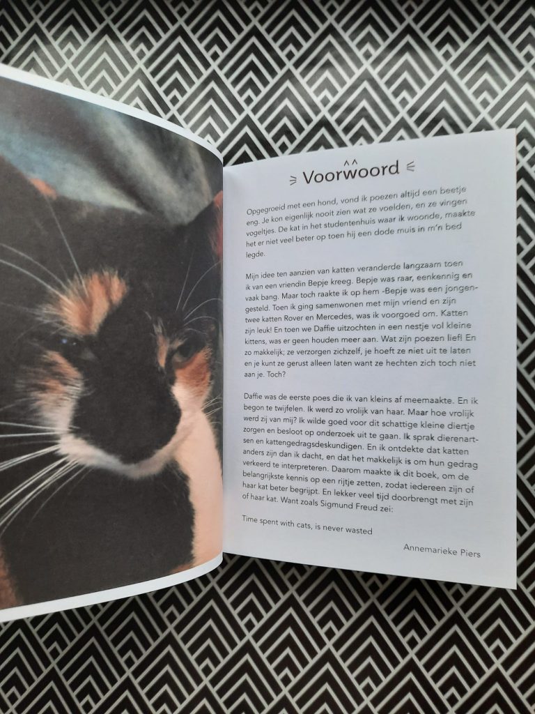 tips voor katten