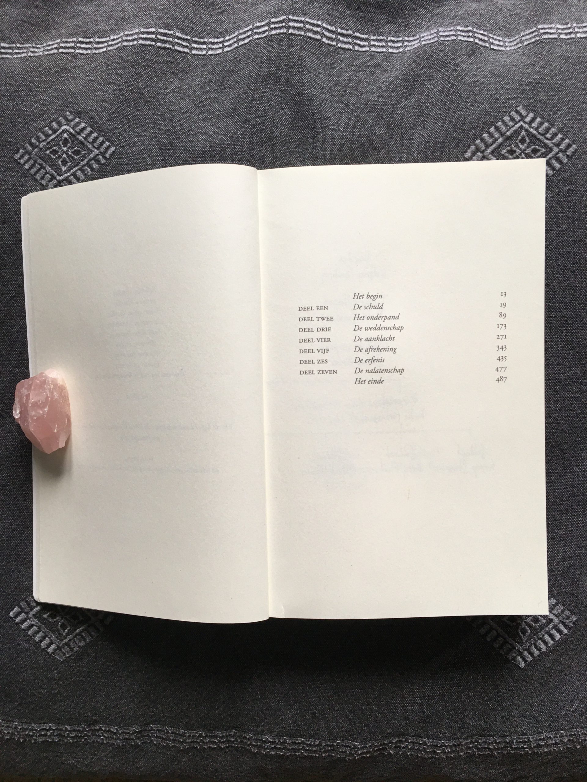 De erfenis van Solomon Farthing; een ontroerende pageturner