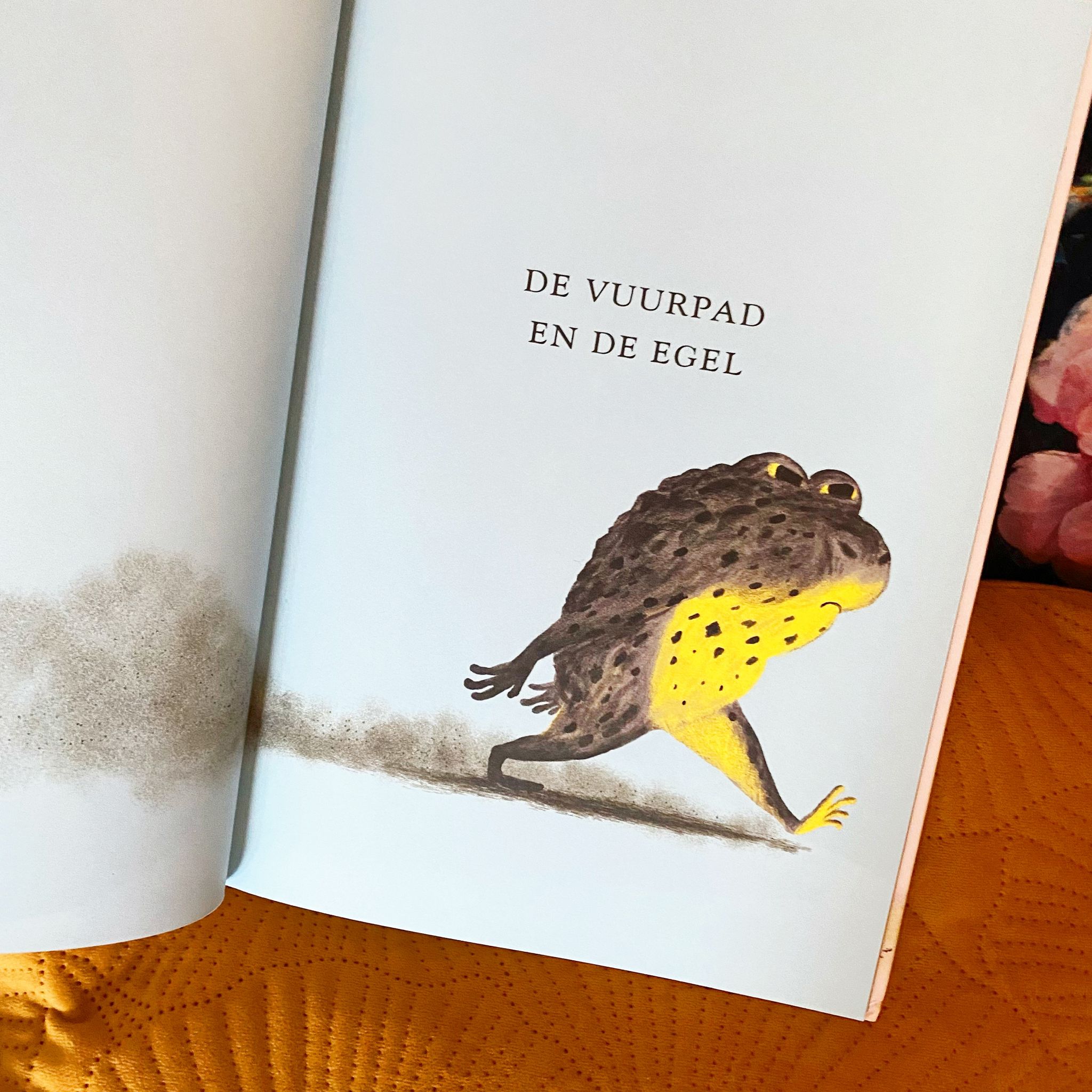 vuurpad en de egel