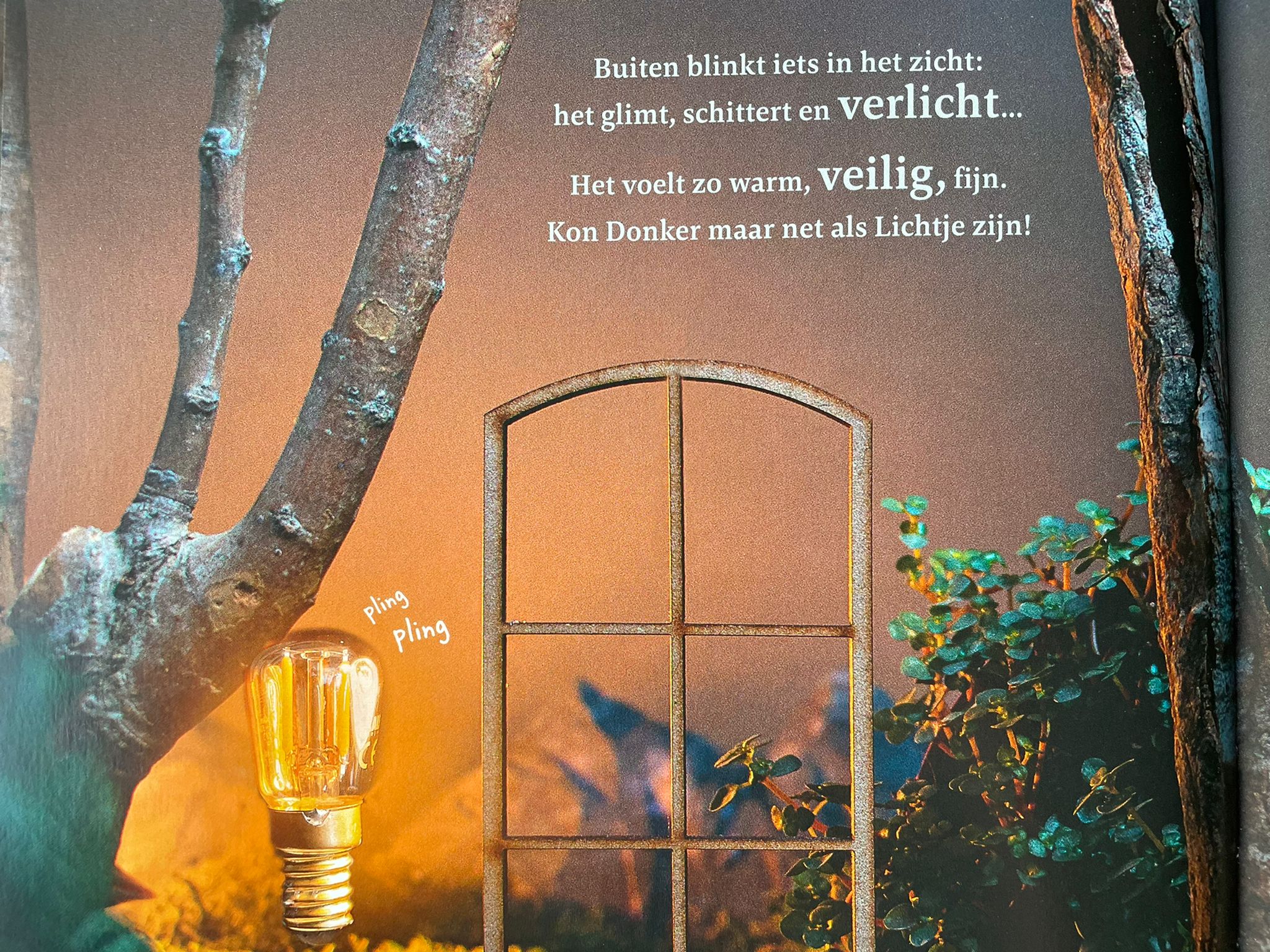 het verhaal van donker