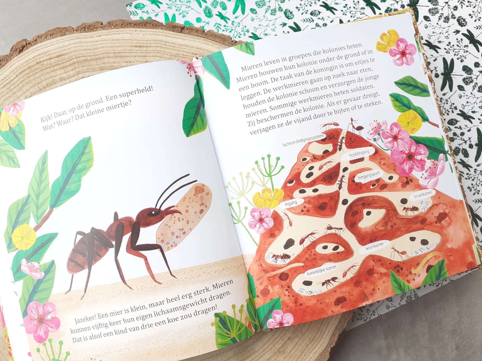 Mijn gouden boekje over insecten