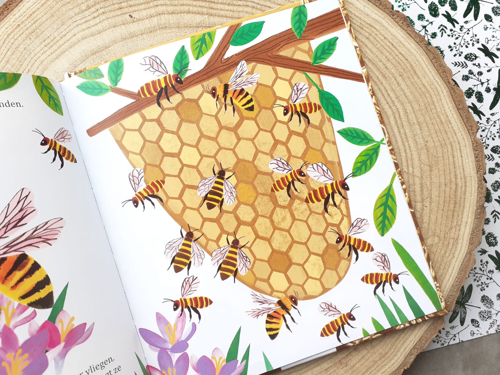 Mijn gouden boekje over insecten