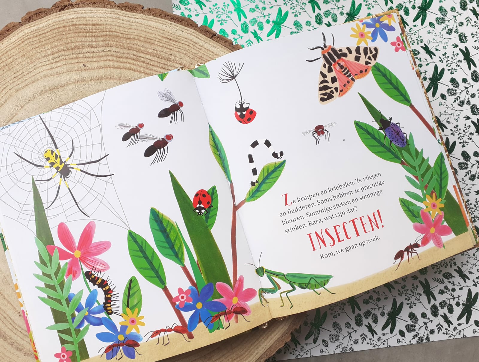 Mijn gouden boekje over insecten