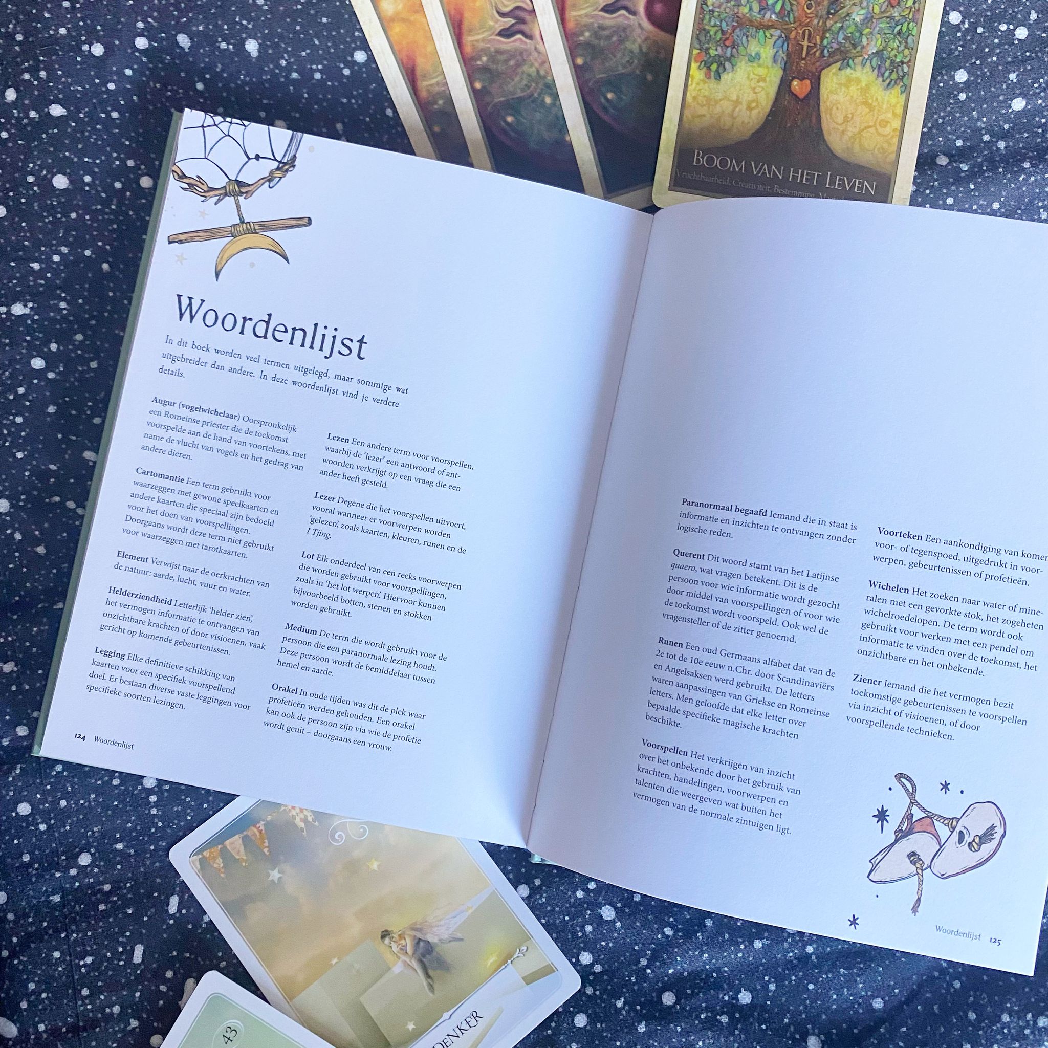 Handboek waarzeggerij
