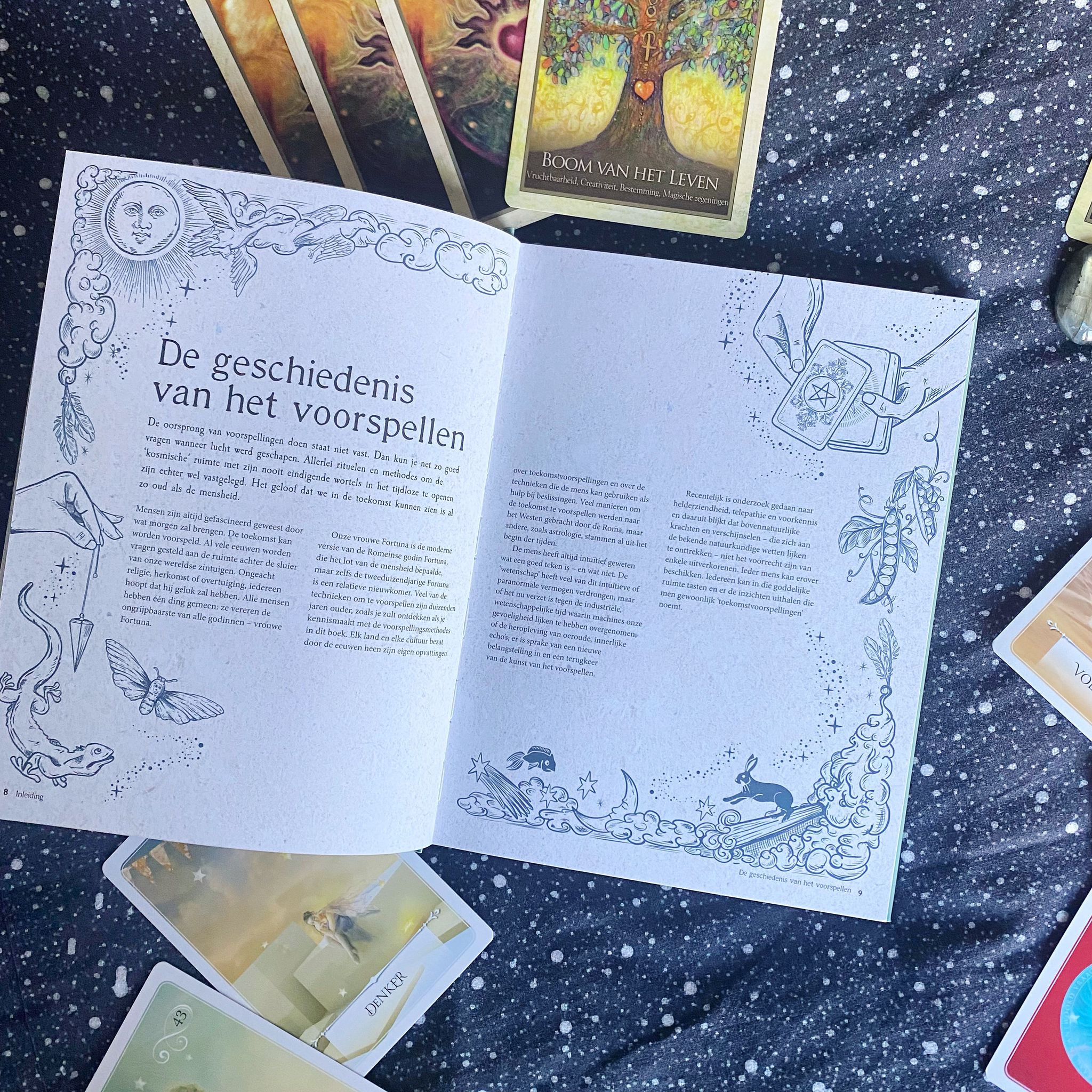 Handboek waarzeggerij
