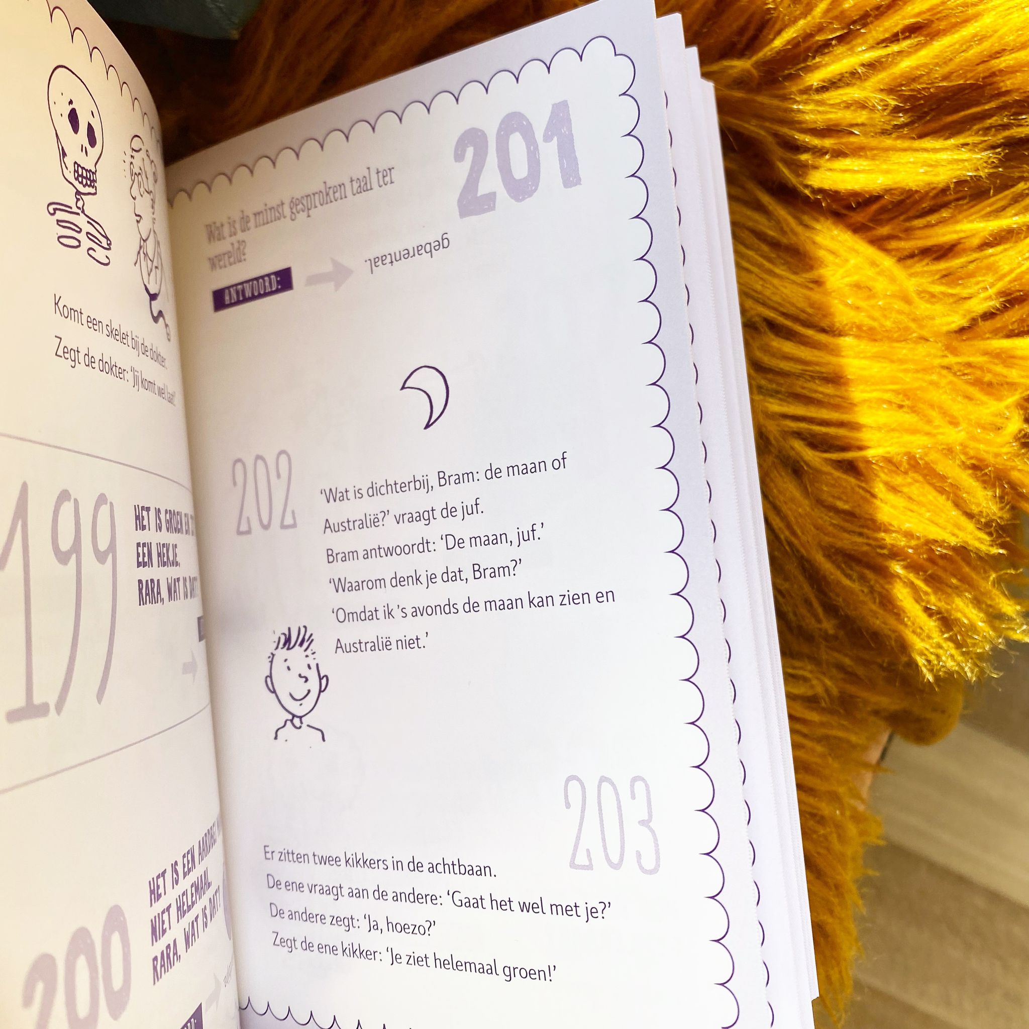 De Zoete zusjes moppenboek