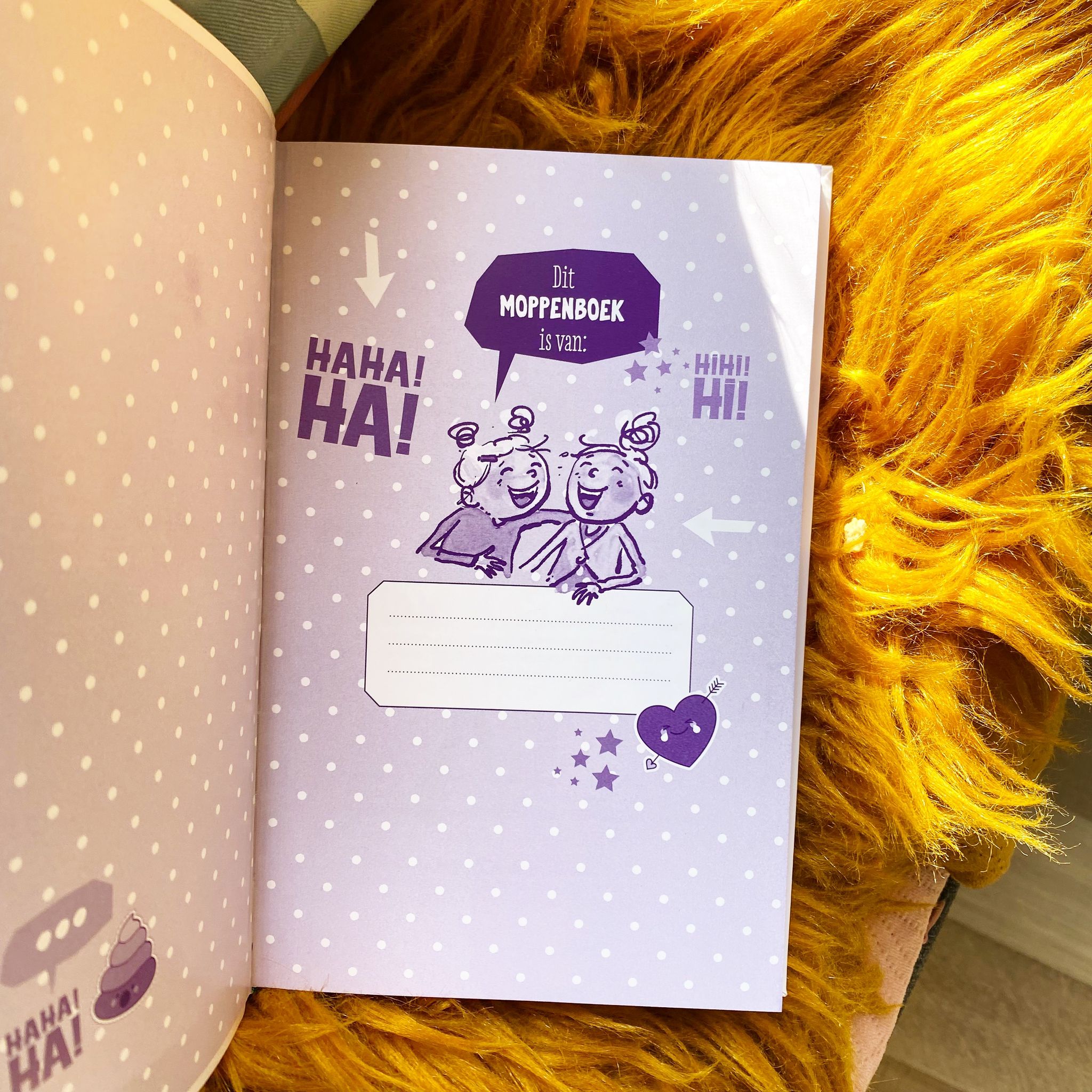 De Zoete zusjes moppenboek