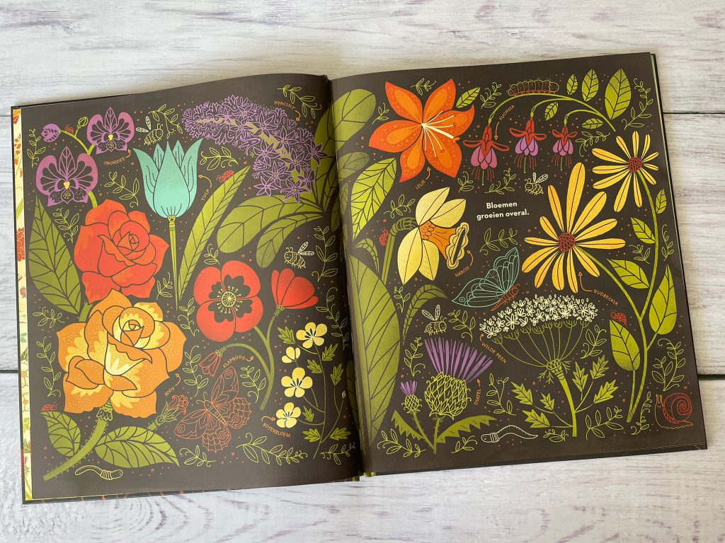 mijn mooiste bloemen boek