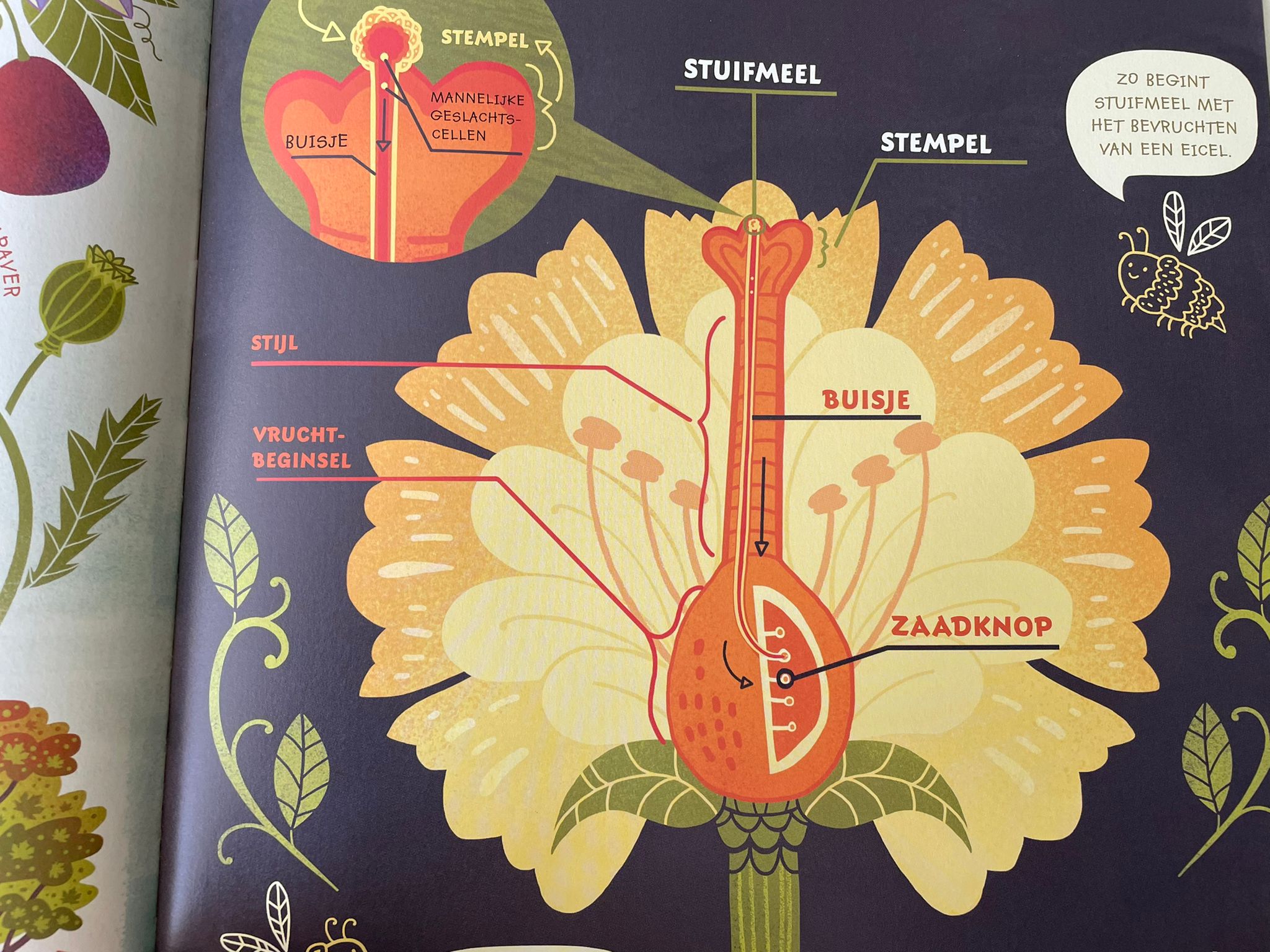 mijn mooiste bloemen boek