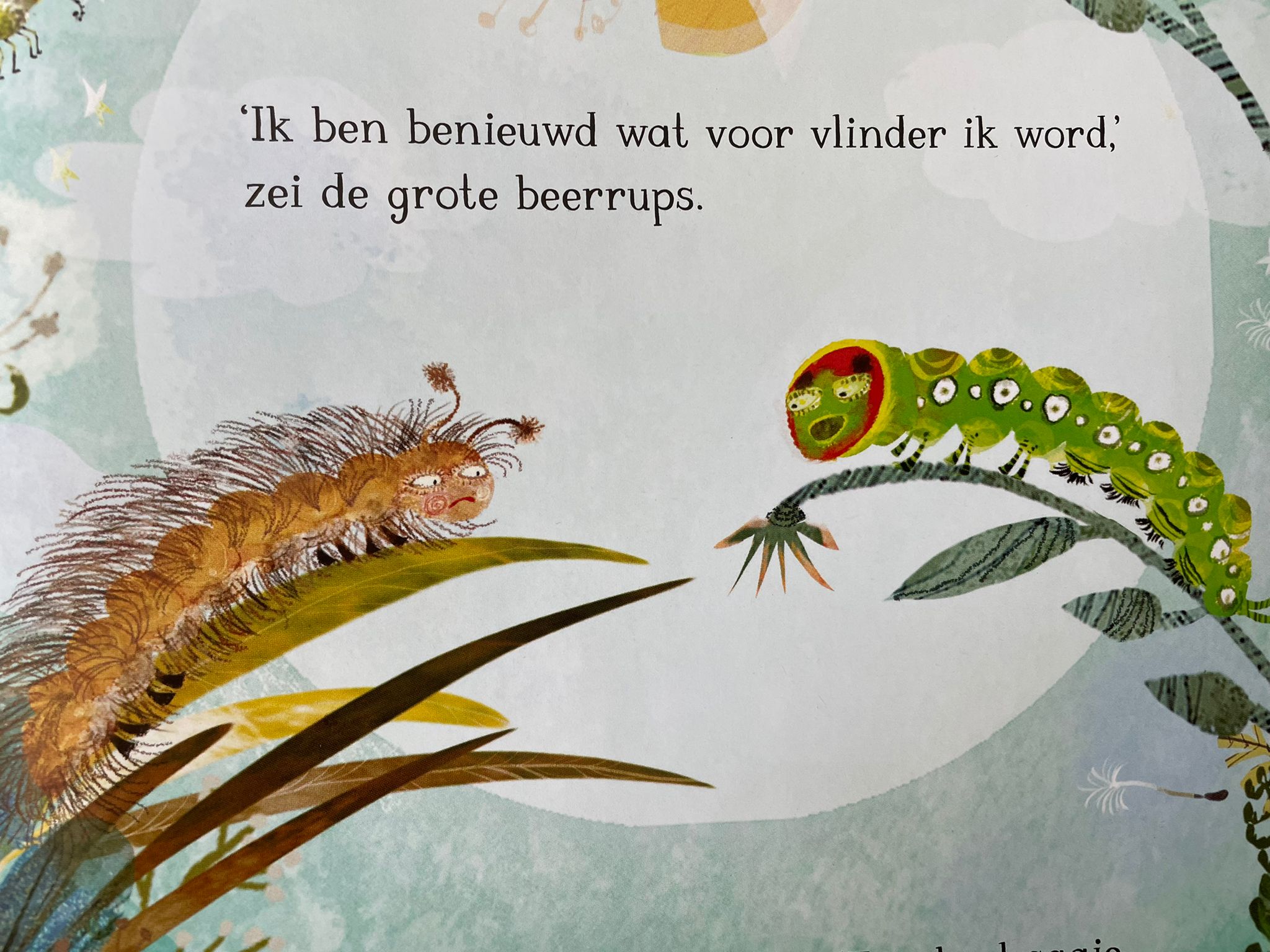 De grote beerrups