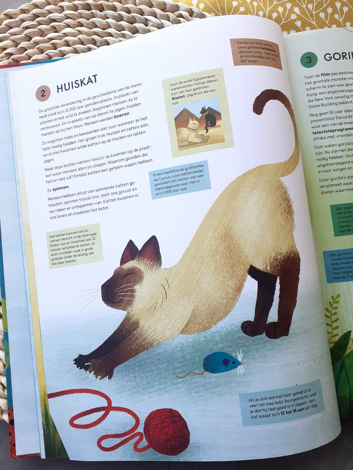 De wereldgeschiedenis in 100 dieren