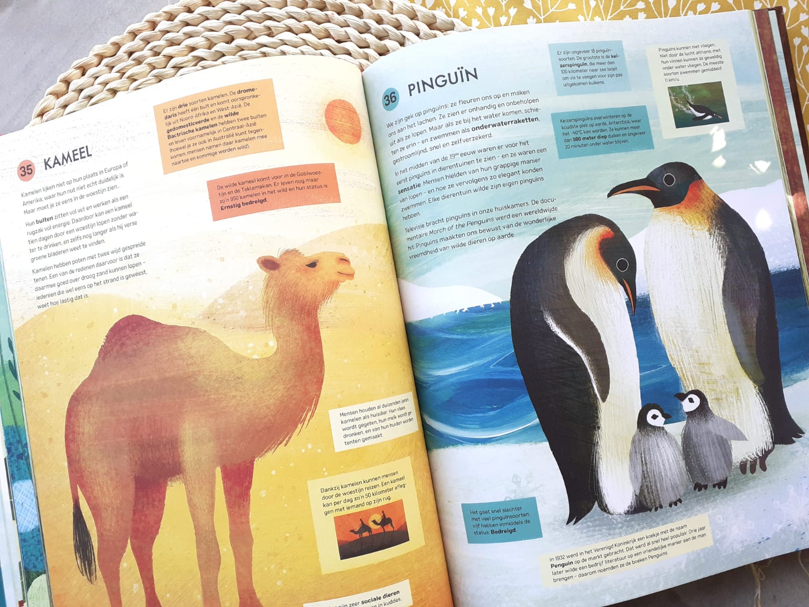 De wereldgeschiedenis in 100 dieren