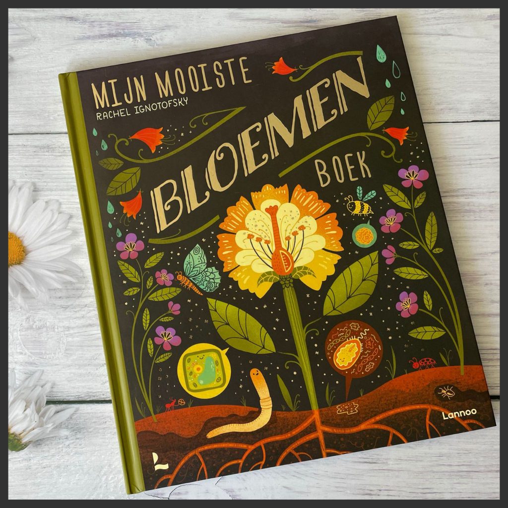 hoofd Mijn mooiste bloemen boek