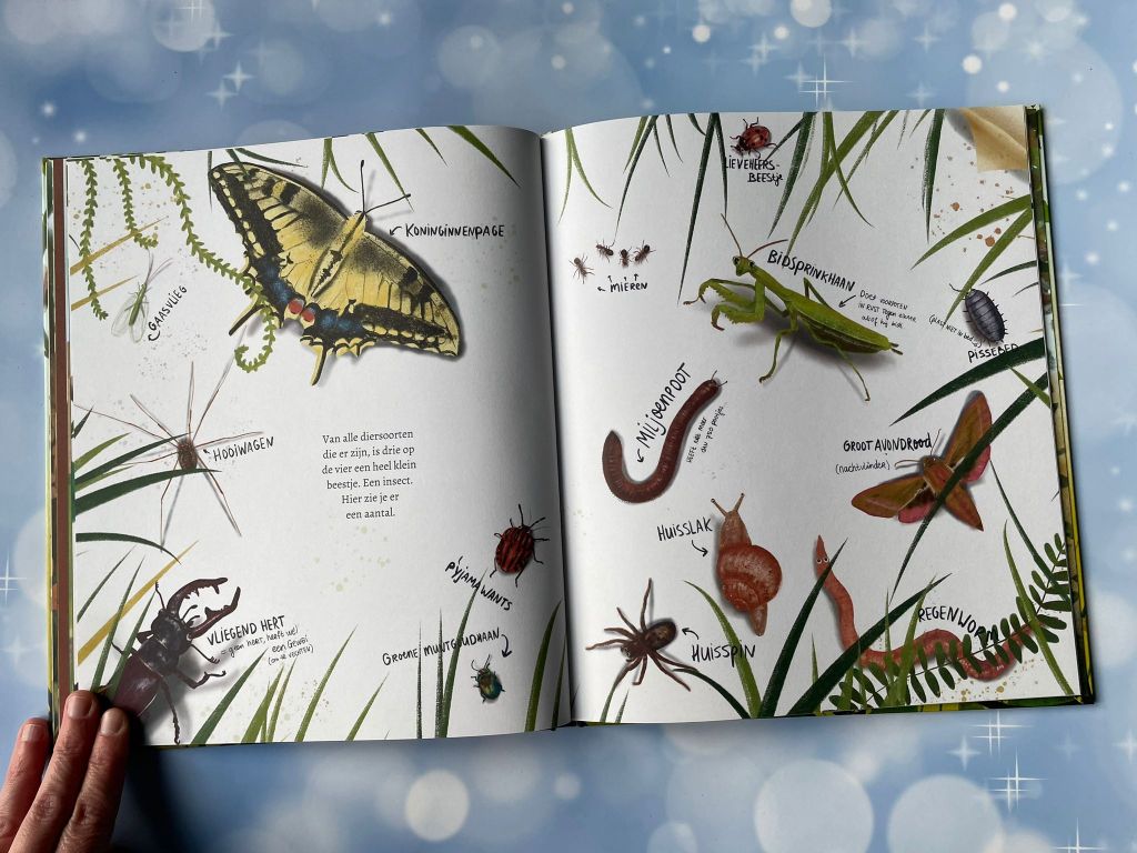 insecten