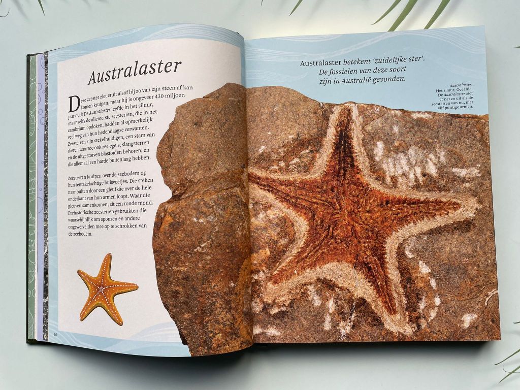 Het dikke boek van alle bijzondere dino's